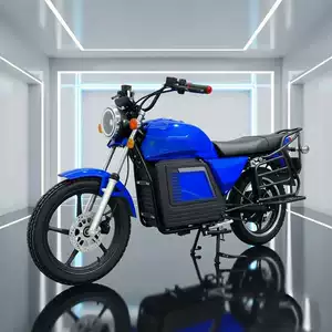 D300 Afrika Üslublu Yüksək Güclü Çatdırılma Elektrikli Motosiklet