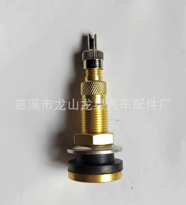 TR618A vacuum tire valve bus bus agricultural vehicle inflatable nozzle multi-specification valve (valve) - tr618a-with-silver-copper-key-cap