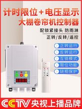 ��������C�b����늄әC�����D�_�P��S�Cι�Ͽ��Ƶ�혟o���u��