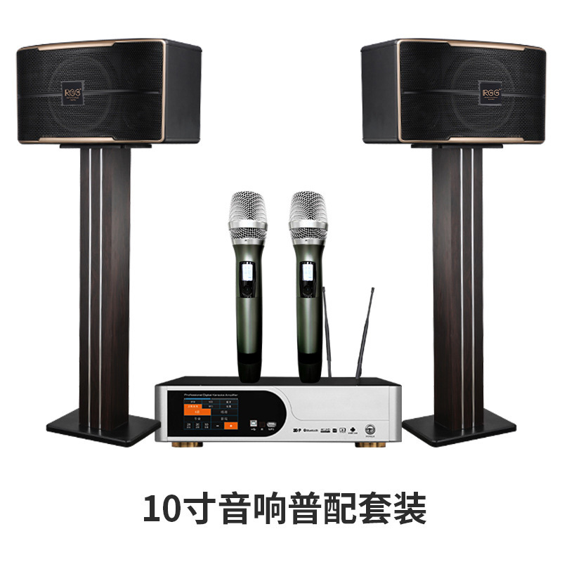 Sistema de karaoke RGG para el hogar, juego de altavoces de karaoke de 10 y 12 pulgadas, juego completo