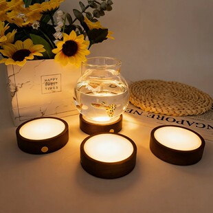 ��ľ�A�ΔUɢ������Сҹ����޹ʯ�бP�l��Շ���DIY����Y������