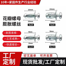 ���ƻ�����ĸ��Û�ݽz�X�Ͻ𷽹��FƤ���ϰ�̶�������˨