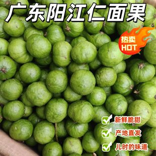 ��������r�Fժ�������y朹��yɏ�����y���V�|���خa��������