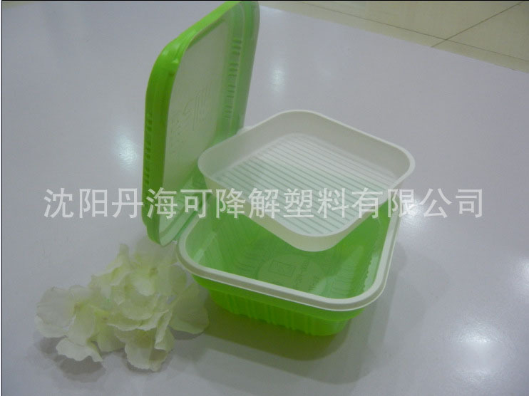 厂家供应一次性打包盒 饭盒 密封快餐盒 可加印logo