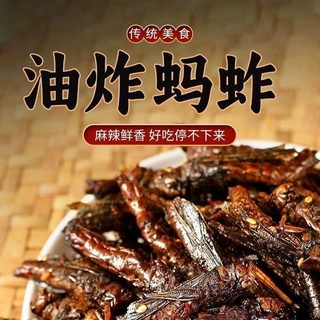 油炸蚂蚱鲜香酥脆五香熟食儿时小零食开袋即食蝗虫昆虫小吃代发