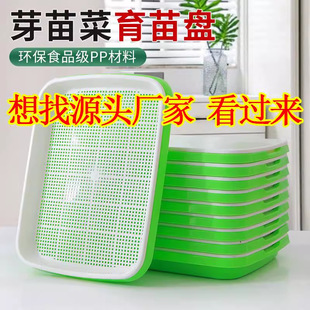 ����Nֲ�����S���������бPѿ����㶹��l��ѿ�N������ˮ������