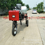小麦小型打药机自走式四轮喷药车座驾式农作物农药喷洒机轮距可调