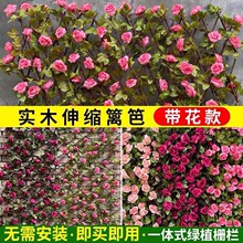 仿真绿植篱笆植物户外伸缩木珊栏庭院阳台花园围栏护栏仿真植物