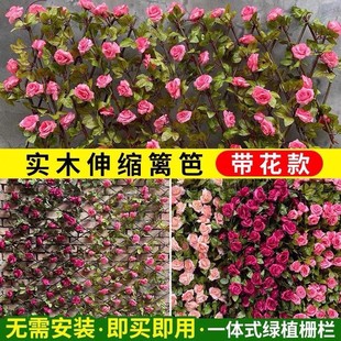 ����Gֲ�h��ֲ�������sľɺ��ͥԺ�̨���@�����o�ڷ���ֲ��