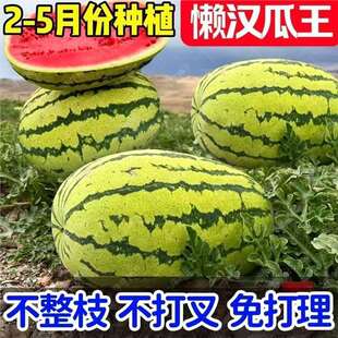 �ش�Нh���ϷN������߮a���������ļ�ͥԺ�̨����ˮ���N��