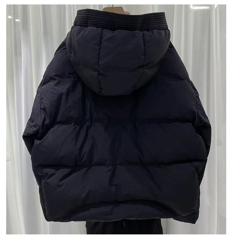 Dames winterjas kort gevoerd losvallend model met capuchon_voghion.com
