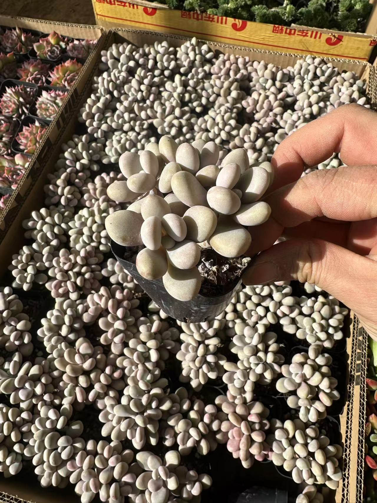 微信图片_20241214225134