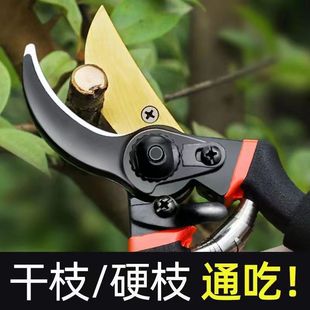 German imported sk5 gardening shears stainless steel labor-saving pruning fruit trees thick branch shears
