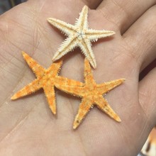 1-2������ɫ�⺣�� ��Ȼ���㺣�� ���к�΢���� ������װ��