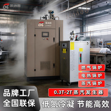常压工业电加热水锅炉纯蒸汽机生物质小型天然燃气锅炉蒸汽发生器