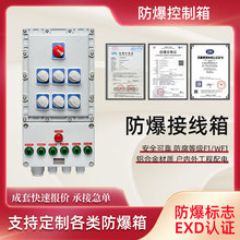 防爆断路路器箱 防爆仪表控制接线配电箱 防爆电源检修插座照明箱