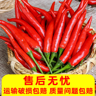 小米辣椒新鲜批发小米椒朝天椒特辣超辣薄皮土红辣椒指天椒-阿里巴巴