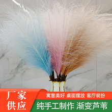 СtJȔu׃ɫҾӻcbƷ羳Ȕ