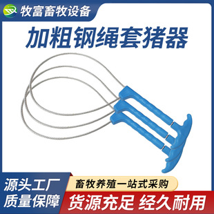 ץ�i�������i�����������i�����i��̶����i�����a䓽z�K�Bֳ�Ӻ�