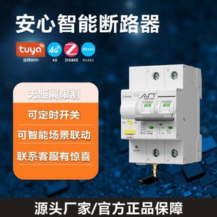 Factory Direct Sales Iot Tuya Zigbee Mobile App Controlled Air Switch R3S Smart Circuit Breaker with Timer