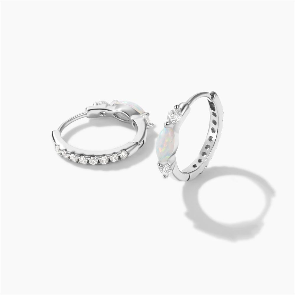 Geometric, Round Pattern Women's Gender Plating Design 1 Pair 925 Sterling Silver Zircon Geometric Round Earrings