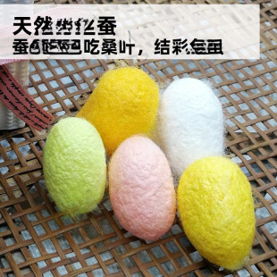 �W�����w�����Q�s�B�Q���b���Qɣ�~���Q�����g�g��z��ɫ�Q����
