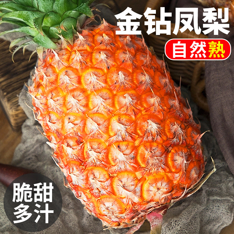 Hainan pineapple fresh seasonal fruit 10 jin perfume gold diamond large pineapple hand-tear mango pineapple seedless whole box