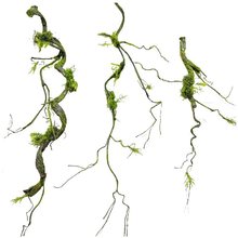 ̦�\���ٿ���ɭϵ�쾰�b[�ż��ٗl��̦�ٴ�����И�֦��ˇ