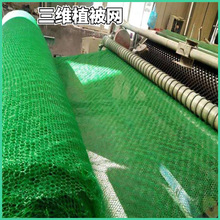 �S�ҬF؛�������Sֲ���W�o�¾G����ˮ����ʧ�Gɫ���S�����W