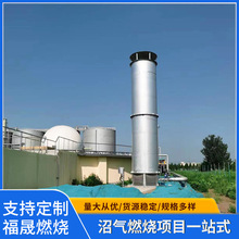 新款气水分离器 气液分离器 沼气分离器气水分离器设备装置