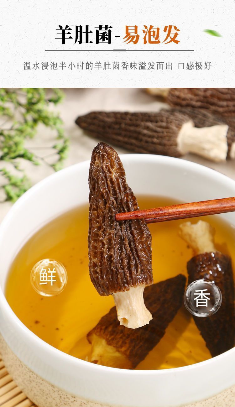 Dried Morel Mushrooms Yang Du Jun Morchella Whole Wild Foraged Yunnan Culinary Gourmet Soup Fungi in use