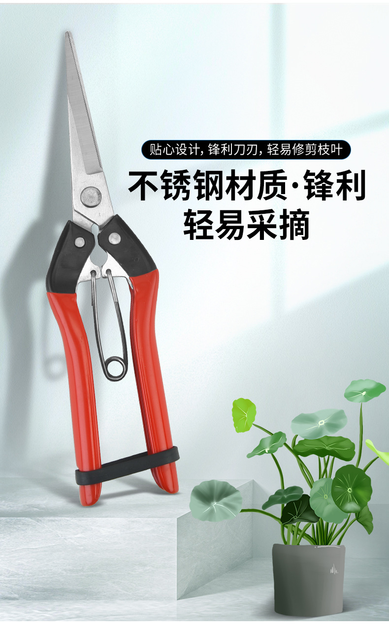 厂家现货强力不锈钢摘果剪家用多功能修枝水果剪枝省力便携枝条