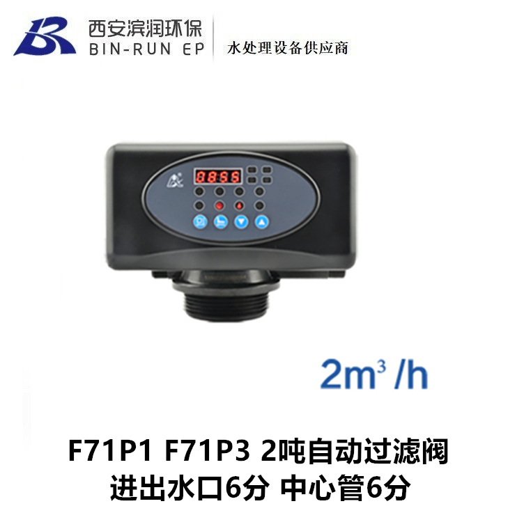 F71P1 F71P3 润新2吨自动过滤阀 进出水口6分 中心管6分