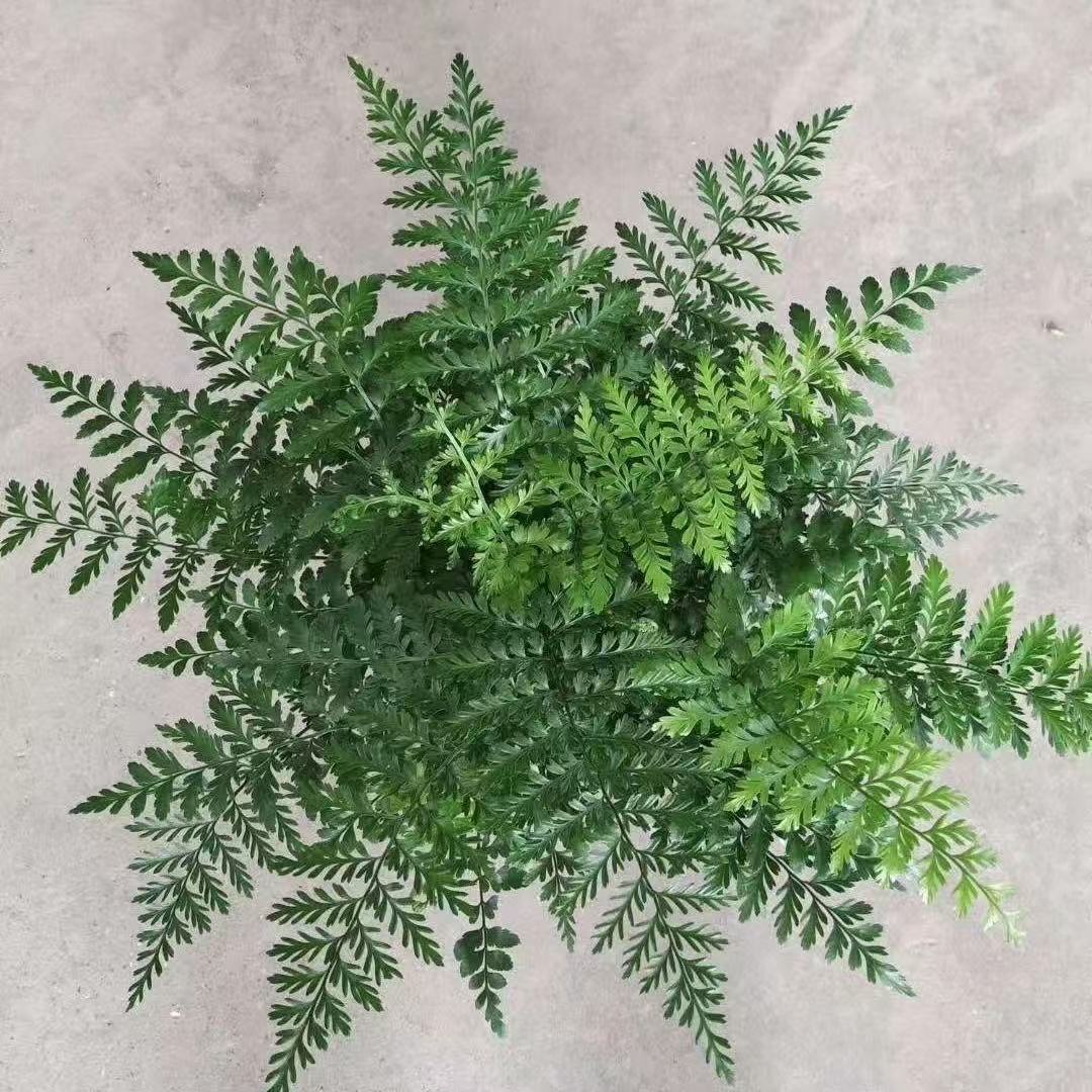 f10db89fc8f45c80a1b481c44210e7