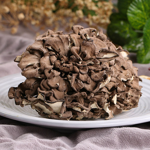 舞茸菌圖片- 海量高清舞茸菌圖片大全- 阿里巴巴