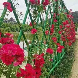 园艺护栏;防护栏;篱笆/栅栏