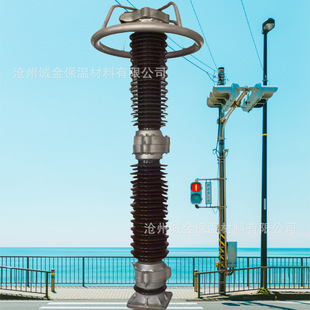 110KV ceramic zinc oxide lightning arrester Y10WZ-100/260 high voltage power station type gapless lightning arrester