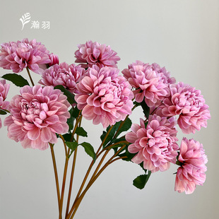 2026���������������滨 �ָд����������b����յ��߻�Y���l