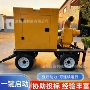 防汛移动式1000300自吸泵