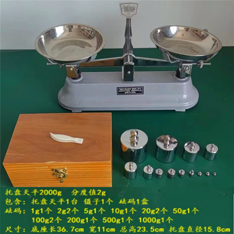 托盘天平100g200g500g1000g2000g5000g学生物理教学实验器材砝码