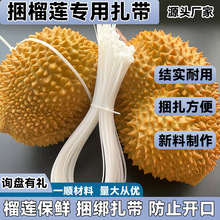 ��ɏ���iʽ����5*650/4.8*650�������L���������������S�����l