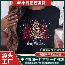 ŷ���Դ��������ʥ���ڿ���ʥ����ʥ�����˼�Լʱ�д��볱��T��