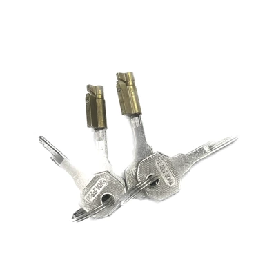 Manufacturer Wholesale Car Power Avtomobil qapı kilidi silindrləri