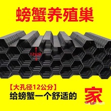 大闸蟹塑料板虾屋屋澳洲巢螃蟹龙虾巢水蛭养殖其他见描述