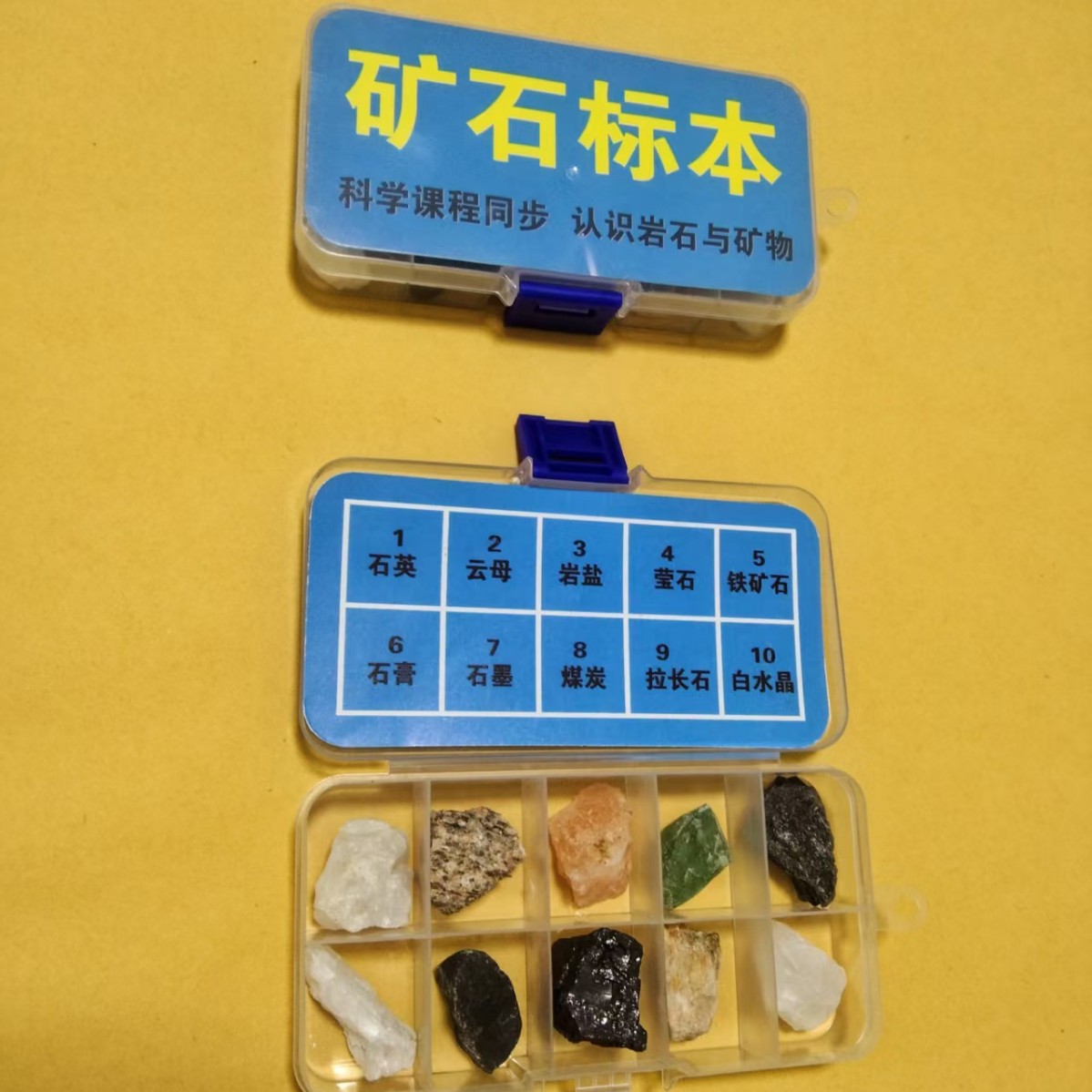 2025-03-24 20:24:41.jpg