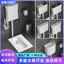 陶瓷横排蹲便器水箱整套家用蹲厕蹲式大便器防臭厕所蹲坑蹲便池