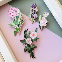 ɭϵֲﻨܽٻػƷߙnᘻϵe