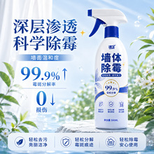 白墙墙体除霉喷雾 化解墙面黑霉污渍 家用墙壁防霉去霉清洁剂