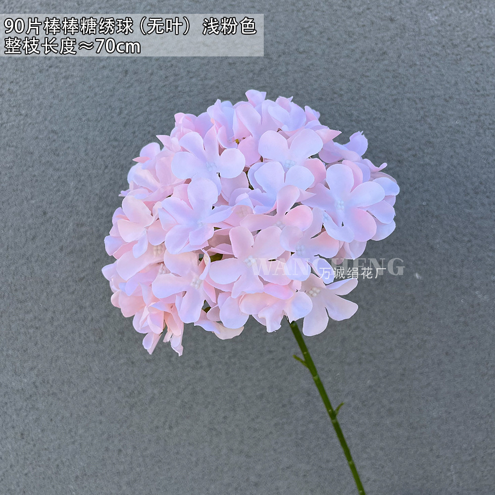 라이트 핑크 90 롤리팝 수국 (잎이없는)