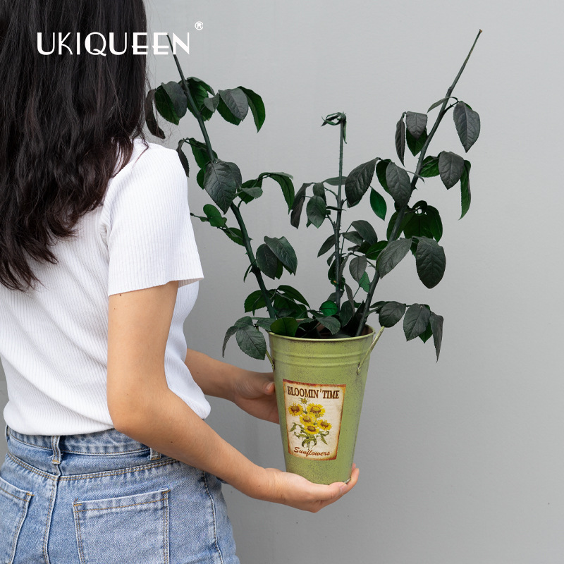 Fabricante mayorista de materiales de bricolaje para flores eternas, tallos y hojas de rosas eternas de Yunnan, adornos con cubierta de cristal del Principito.